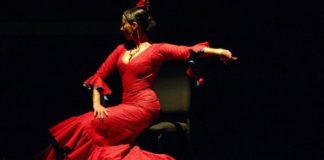 flamenco